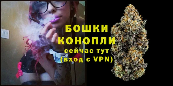 mdpv Пересвет