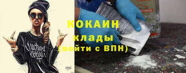 ешки Арсеньев