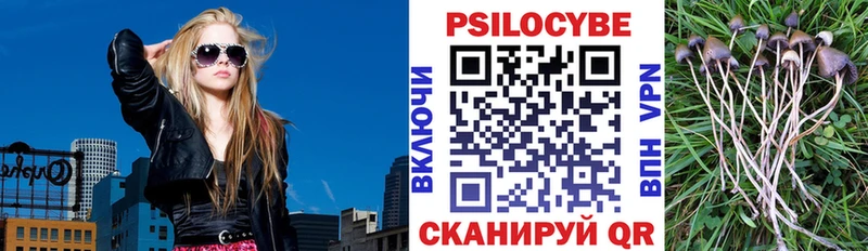 Псилоцибиновые грибы мухоморы  Бабаево 